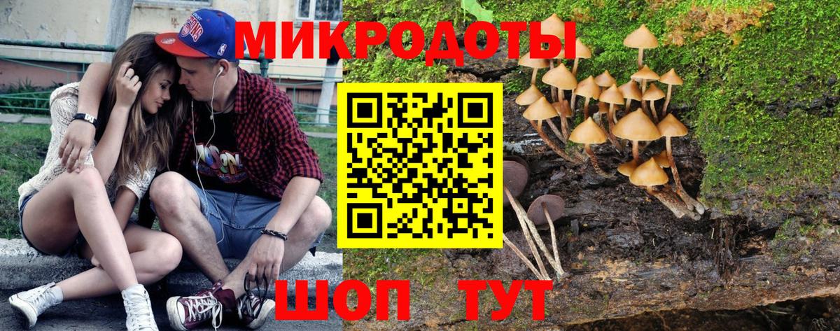 Сунжа  Галлюциногенные грибы прущие грибы  Вход с VPN  где найти наркотики  Псилоцибиновые грибы GOLDEN TEACHER 